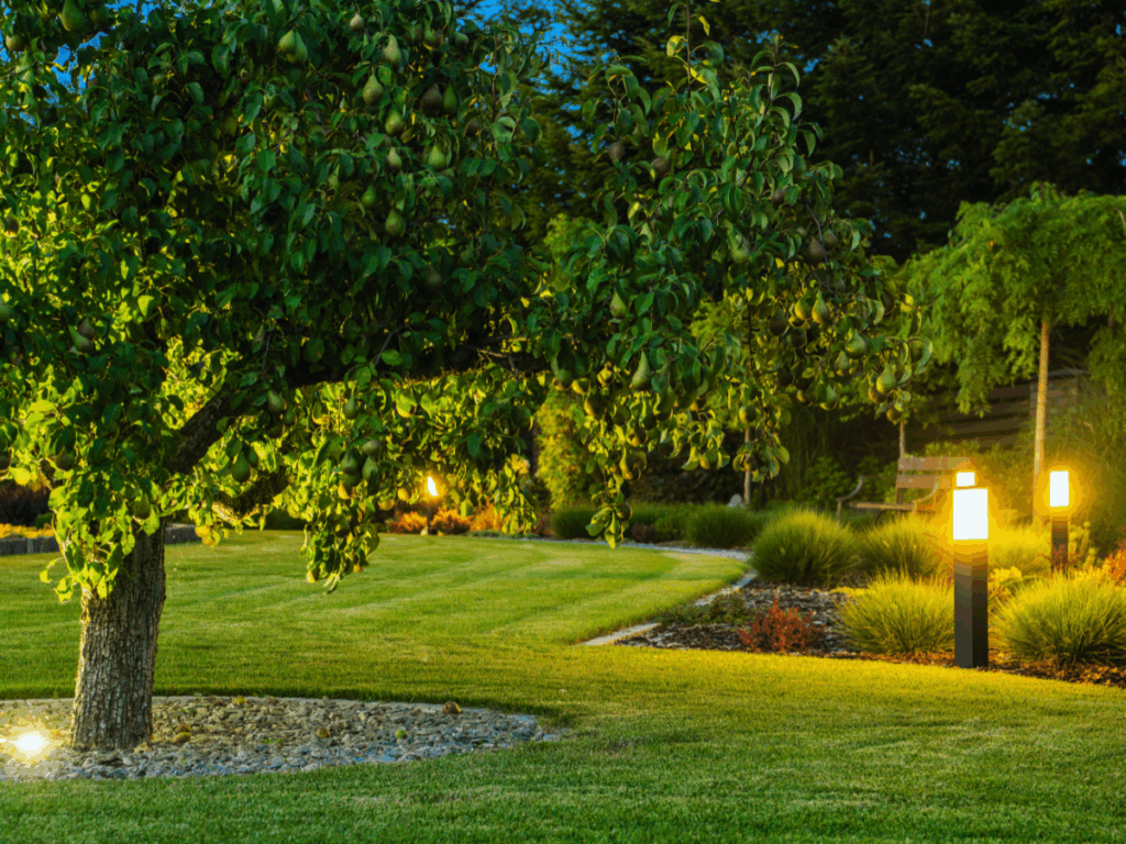 perfectly manicured lawn with outdoor lighting